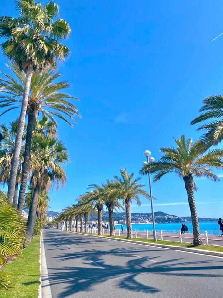 Suite Chic & Cosy, Hyper Centre, Proximite Plage, Nice Centre Экстерьер фото
